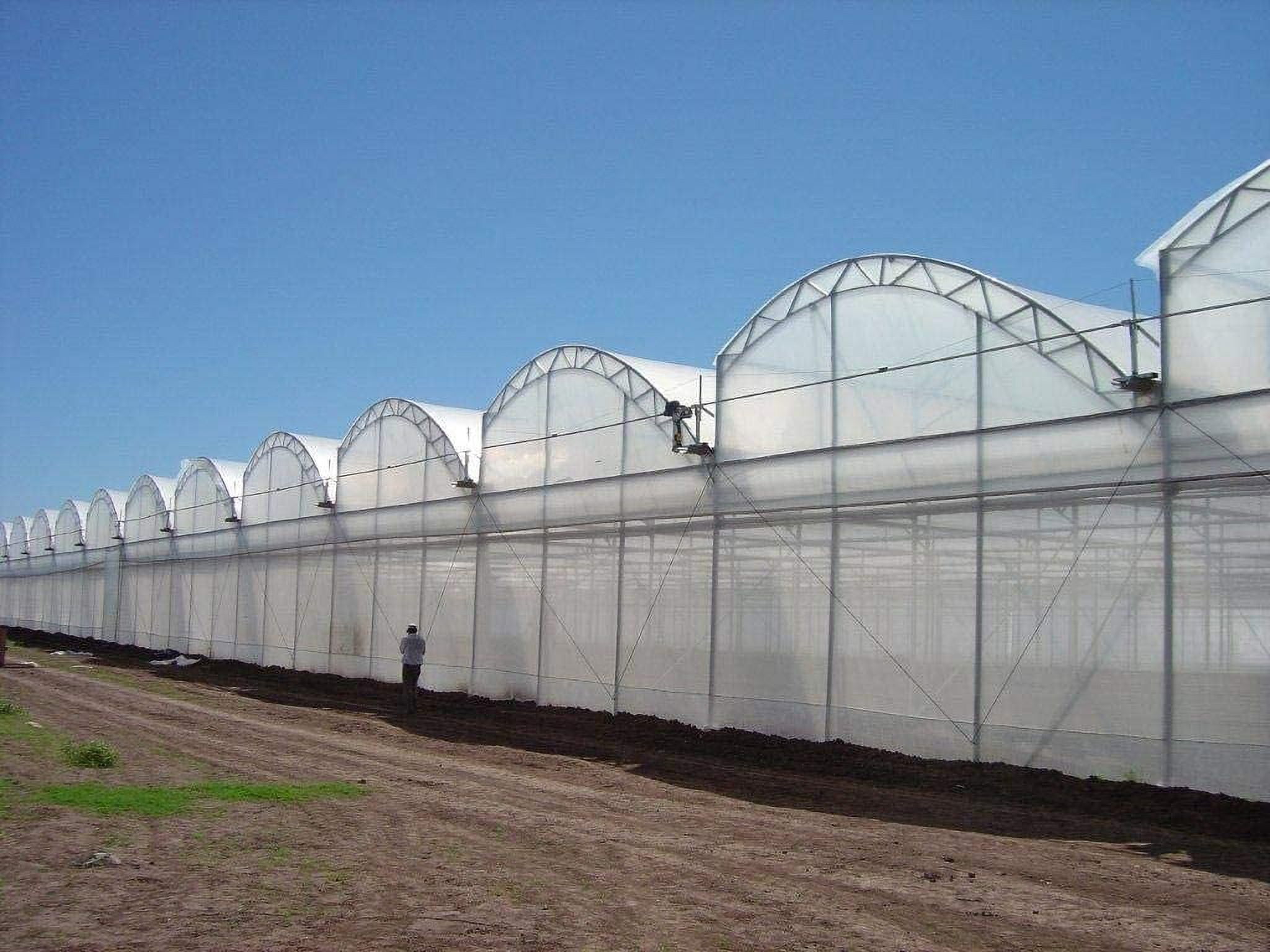 Greenhouse Plastic Clear 6 mil, 4 Year, Polyethylene Covering Film (12 ft. Wide x 25 ft. Long)