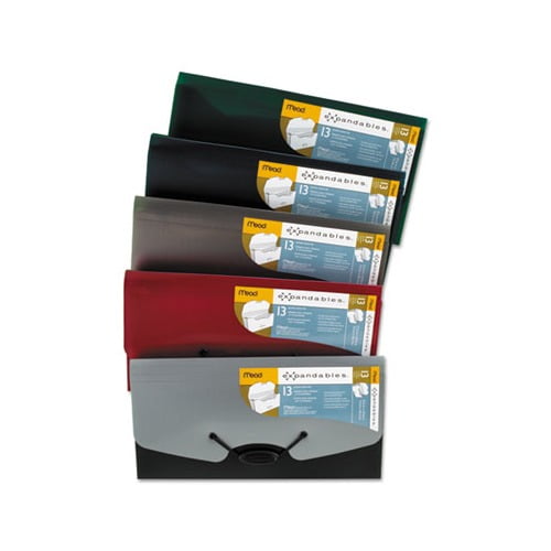 Expandables Expanding File for Checks 13 Sections, 1/13-Cut Tab, Randomly Assorted