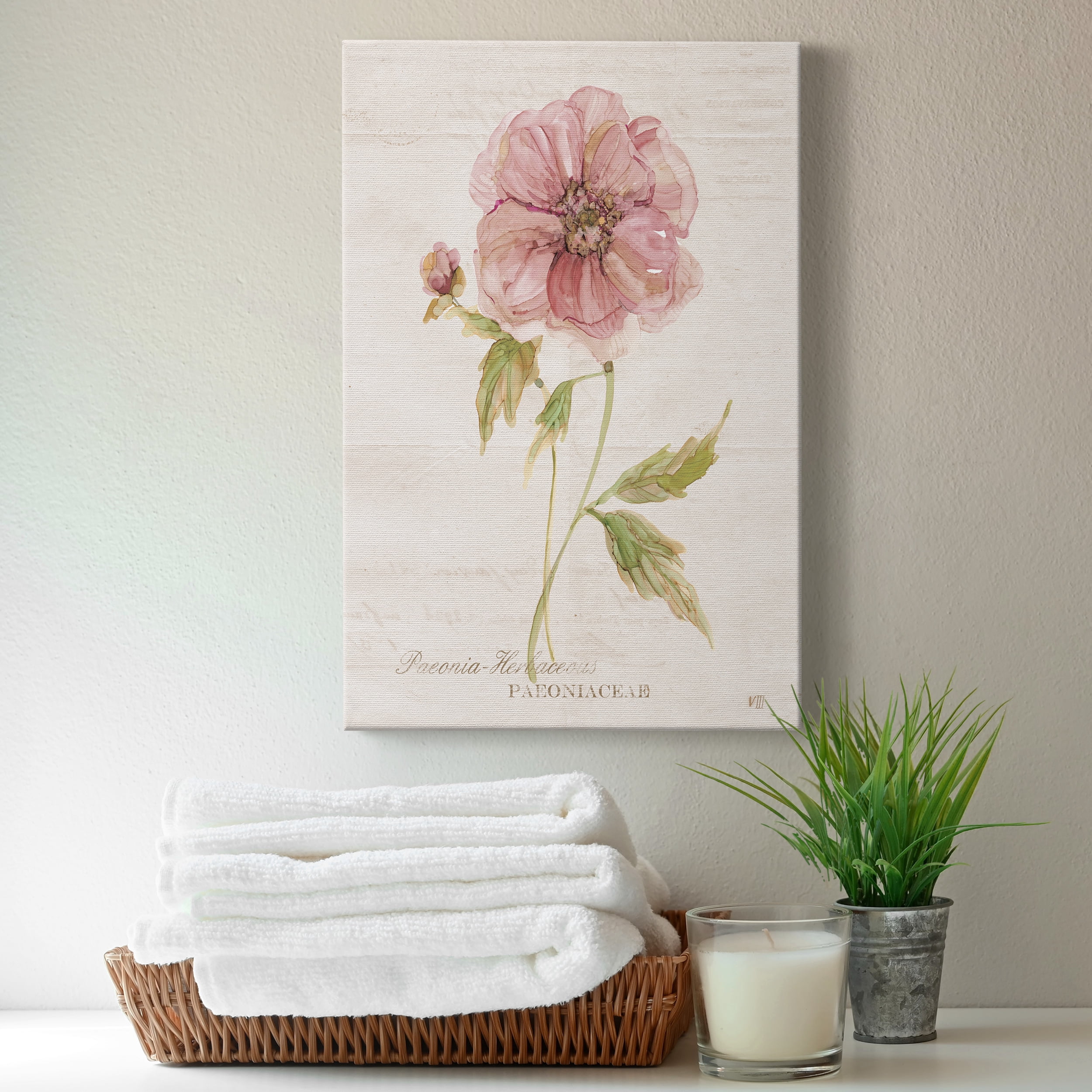 Soft Peony Premium Gallery Wrapped Canvas - Ready to Hang - 24 x 36