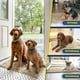 thumbnail image 5 of Muddy Mat® AS-SEEN-ON-TV Tapete para puerta y alfombra para mascotas de microfibra altamente absorbente, área lavable gruesa antideslizante y tapete de baño de chenilla suave para cocina, baño, dormit, 5 of 5
