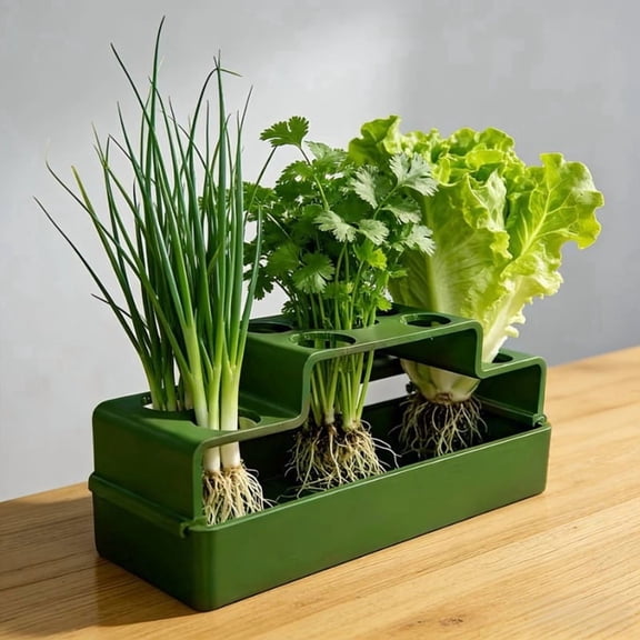 Indoor Hydroponic Green Onion Growing Box Plastic Soilless Cultivation Planter with Water Reservoir for Home Vegetable Planting