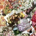 thumbnail image 6 of Floret Farms X Chronicle Books Floret Farm's Cut Flower Garden 100 Postcards: (Floral Postcards, Botanical Gifts), (Hardcover), 6 of 8