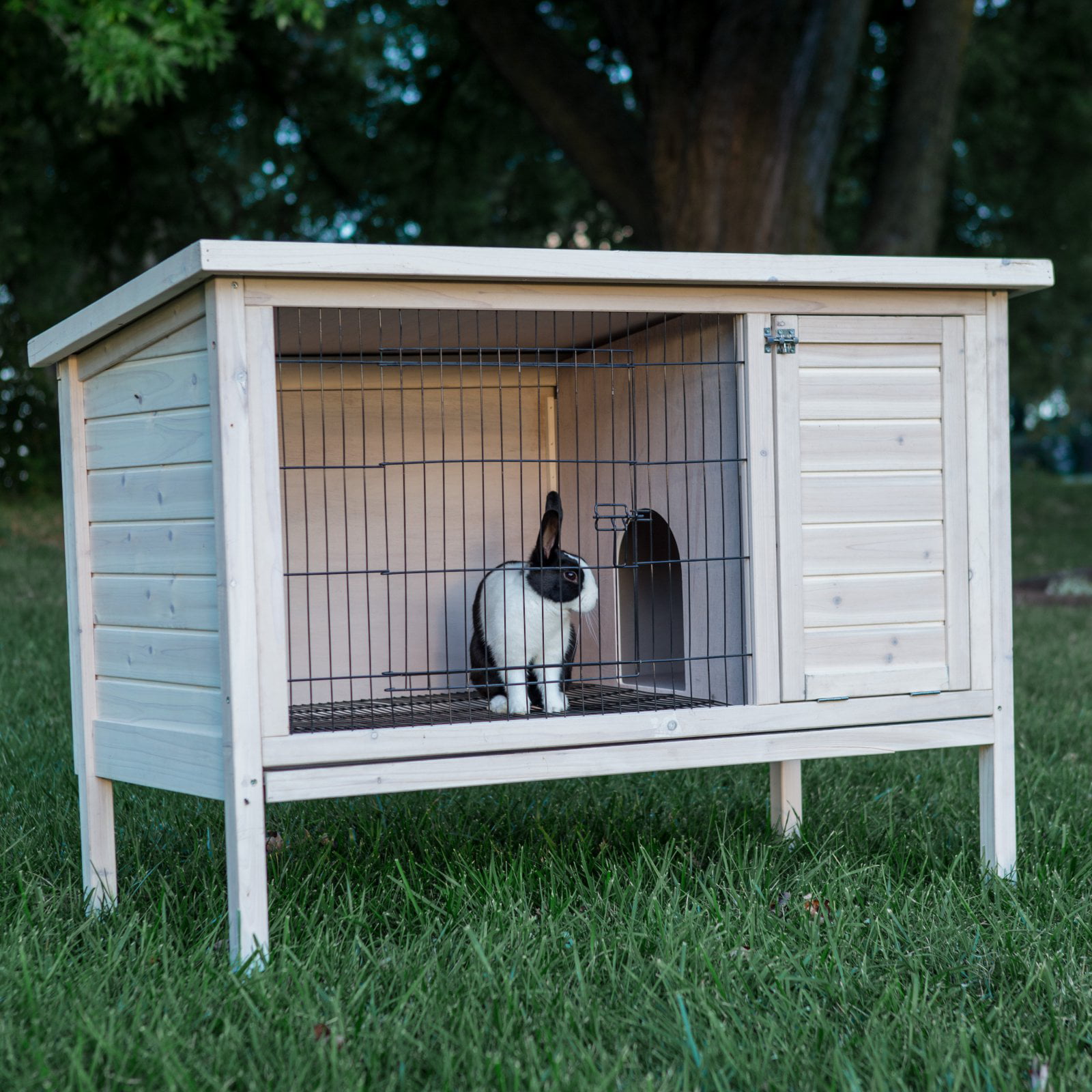 white rabbit cage