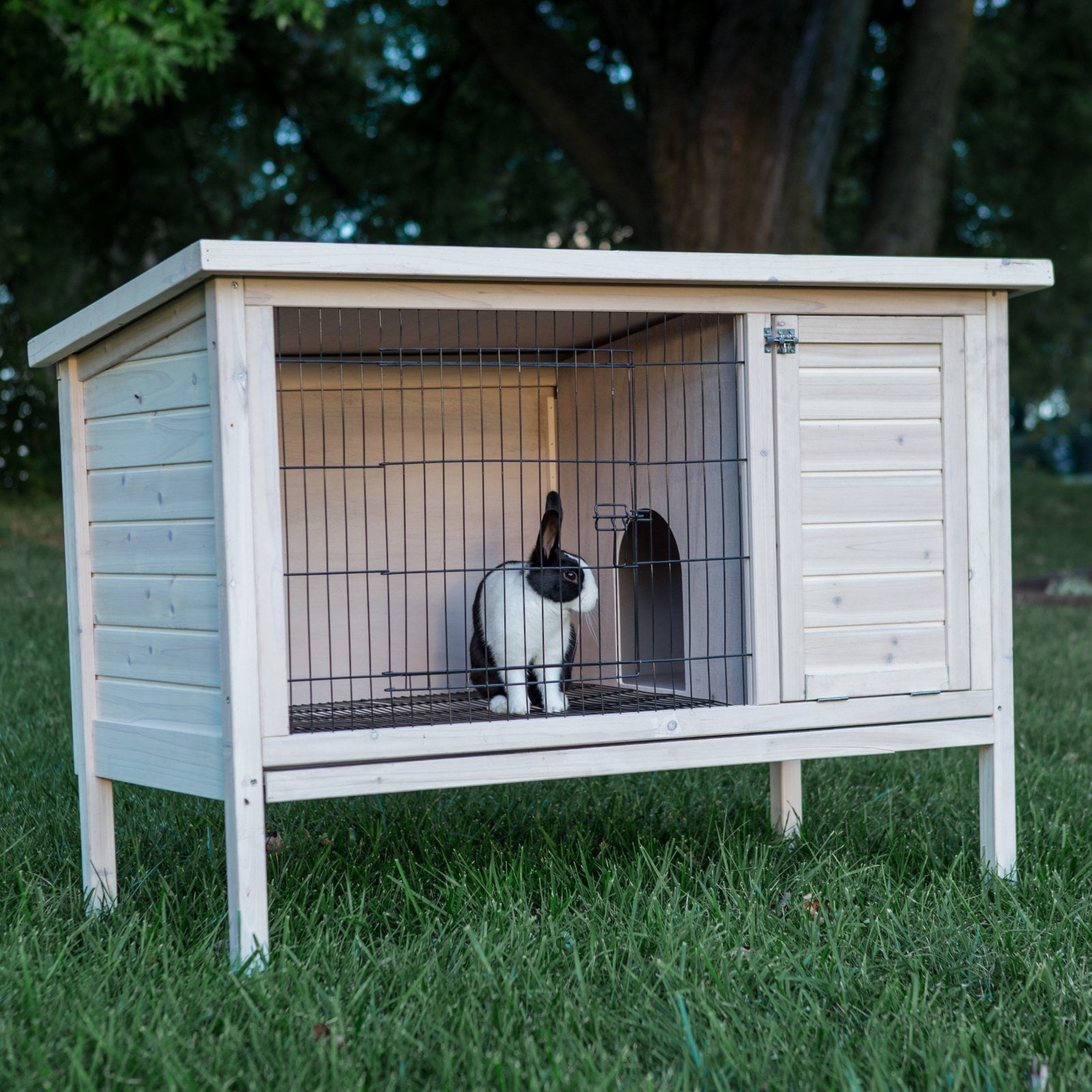 outdoor rabbit cage