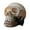 B, variant on Halloween LED Skull Lamp Skull Desk Lamp Holiday Gift Skull Decor