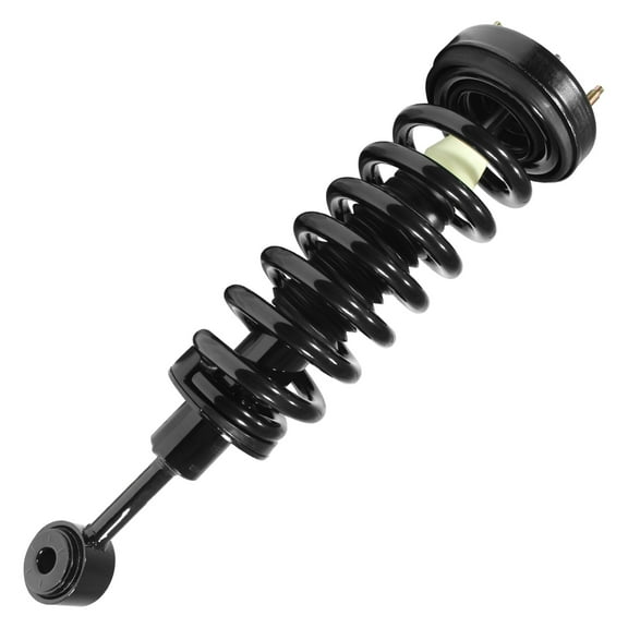 Unity Automotive Front Complete Strut Assembly 2004-2008 Ford F150, 11204