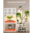thumbnail image 5 of 62" Tall 8-Tier Plant Stand  3 Timer & 10 Brightness, Metal Shelf for Indoor Plants, 5 of 10