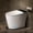 Dark Gray, variant on Smart Toilet with Bidet, Foam Shield, 4-Season Temperature, ADA Height, 1.0 Gallons Auto Flush, Heated Seat, Warm Water & Air Drying, Remote Control, Auto Deodorization, Blackout Flush, Night Light