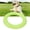 Green, variant on M Buder Elastic EVA Pet Pull Ring - Orange Small Dog Training Toy (6.7 inches / 17 cm) - Interactive Exercise Jumping Running Gear for Puppies, Labrador, Border Collie