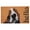 Brown/White Basset Hound, variant on Calloway Mills 109572436 Brown/White Basset Hound Doormat 24" x 36"