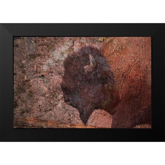 Phillip, Jamie 14x11 Black Modern Framed Museum Art Print Titled - Brown Buffalo 2