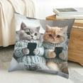 thumbnail image 4 of Funny Cats Decorative Throw Pillow Cover 18x18 Inch Double Sided Plush Pillowcase Cushion Case for Sofa Couch Bedroom Living Room Home Decor, 4 of 6