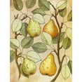 thumbnail image 2 of Hunziker, Steve 15x18 White Modern Wood Framed Museum Art Print Titled - Botanical Grunge II, 2 of 4