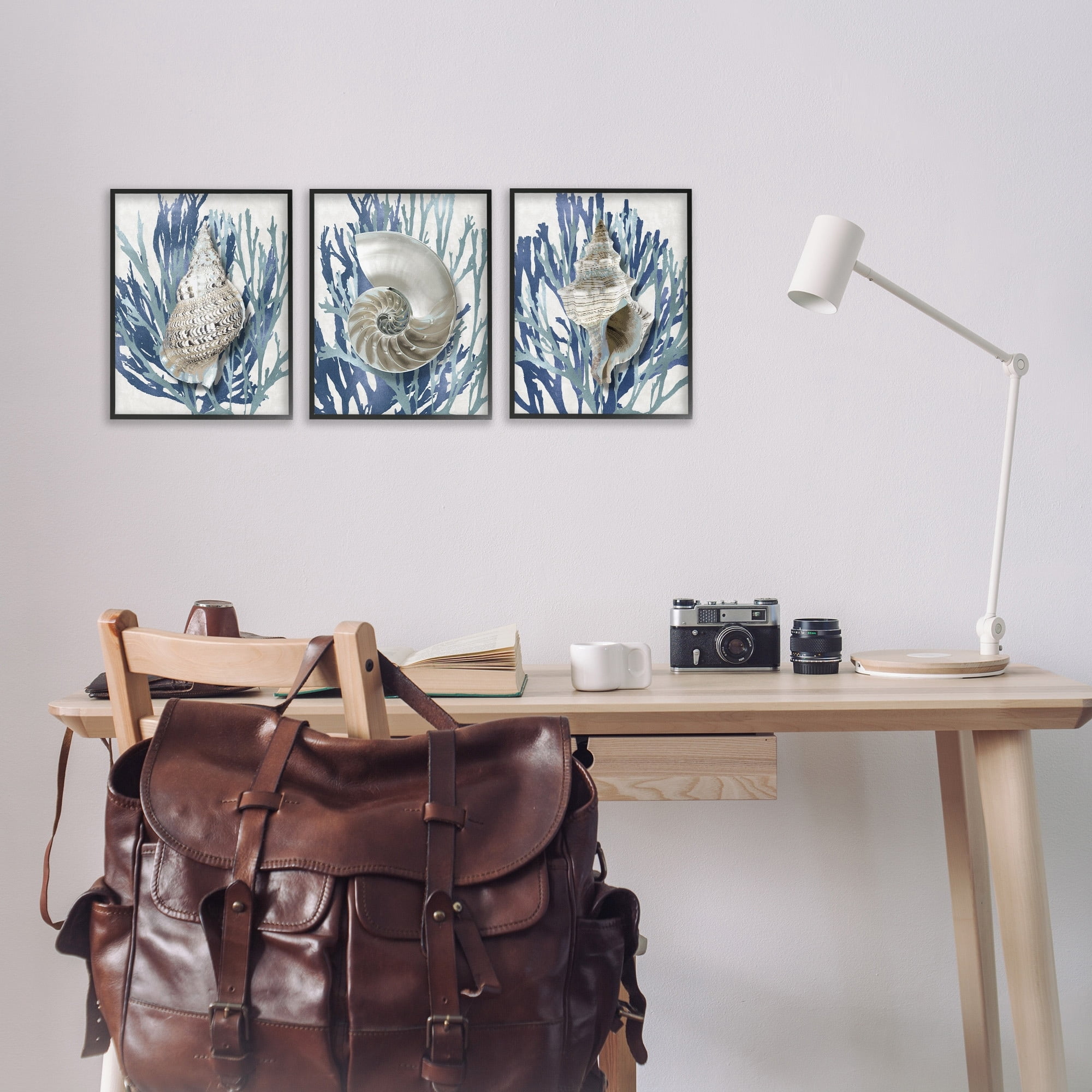 Stupell Industries Trio of Shell Coral Blue Beach Design Graphic Art Black Framed Art Print Wall Art Set of 3, 11x14, by Caroline Kelly