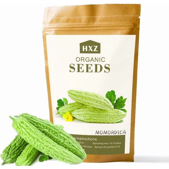 HIGHGW 40 Graines de Melon Amère de Qualité Supérieure pour la Plantation - Authentiques Graines de Courge Amère Asiatiques pour Jardin à la Maison et Culture de Légumes