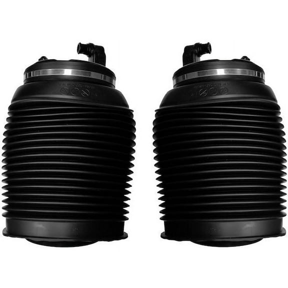 Rear Air Suspension Spring Set - Compatible with 2005 - 2007 Toyota Sequoia 2006