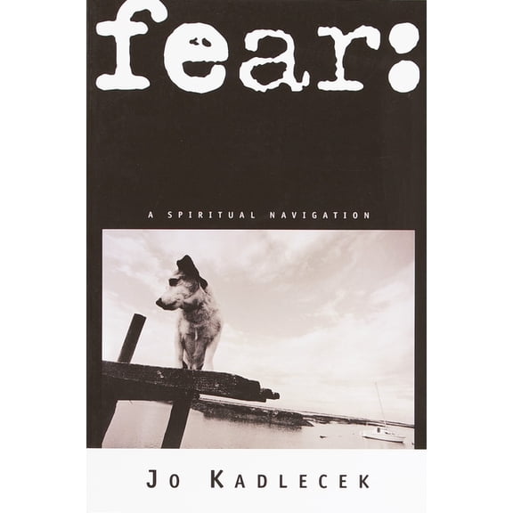 fear : a spiritual navigation (Paperback)
