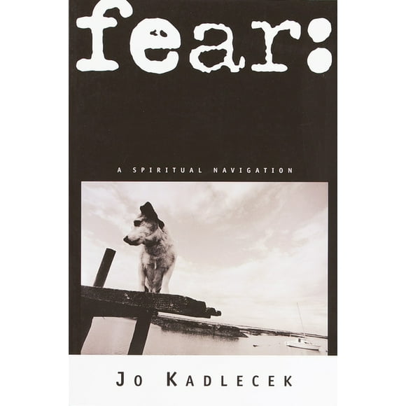 fear: a spiritual navigation (Paperback)