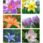Small World Greetings Spring Flowers Notecards 12 Count - Blank Inside with Envelopes - A2 Size 5.5" x 4.25" - Floral Stationery - All Occasion Birthday, Thank You, and More
