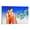Frame-style, variant on R.C. GORMAN Reverie 2002 Poster Painting Wall Art Poster Scroll Canvas Painting Picture Living Room Decor Home 12x18inch(30x45cm)