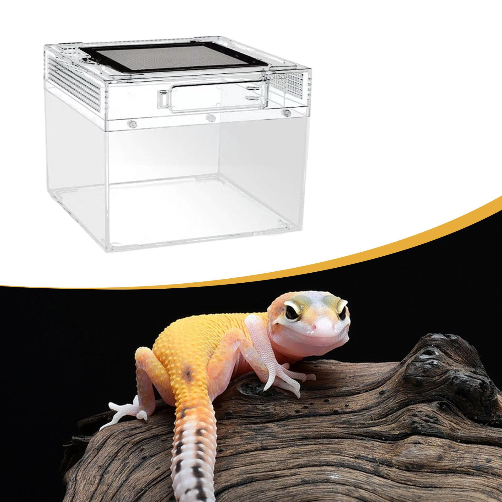 CarpNettore Reptile Terrarium Reptile Tank Ventilation Transparent Breeding Box Habitat for Turtle Scorpions Lizards Horned Frogs Geckos 20cmx20cmx15cm