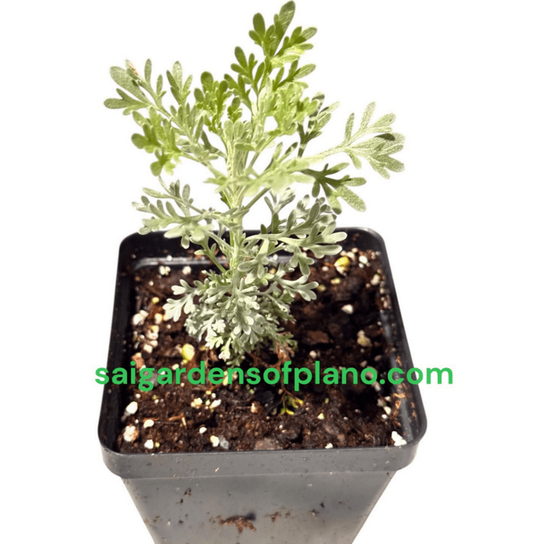 ferm living plant box outdoor Ferm Living - Plant Box - Large