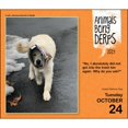 Animals Being Derps 2023 DaytoDay Calendar The Funniest
