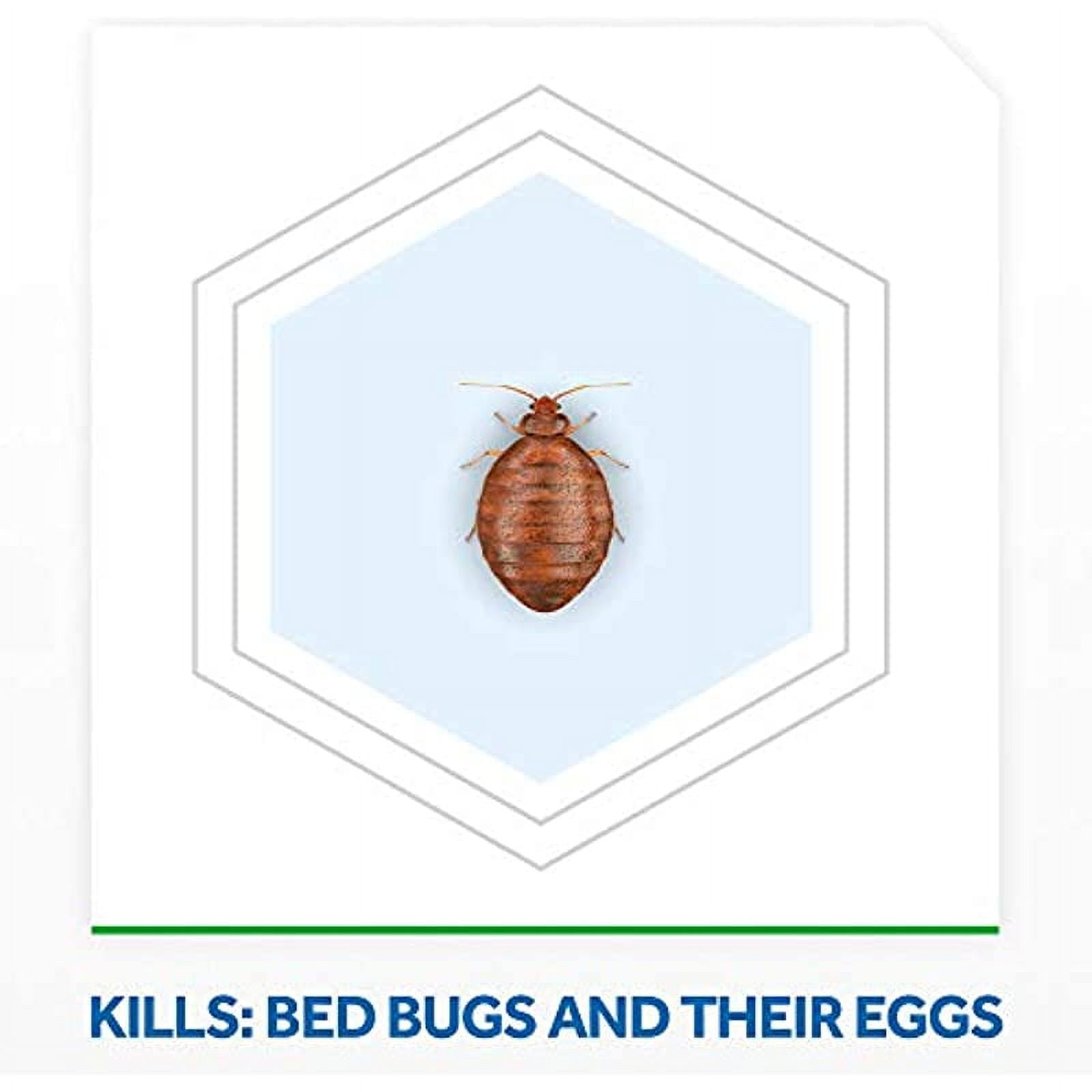 Raid Max Bed Bug Extended Protection, Kills Bed Bugs for 8 weeks on Laminated Woods and Surfaces, 22 Oz