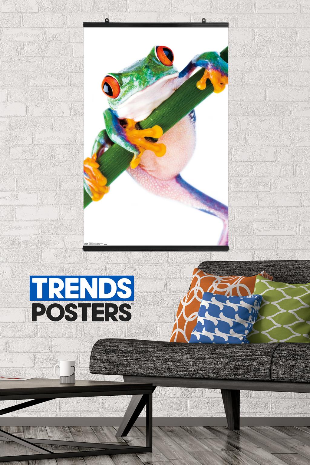 Tree Frog Wall Poster, 22.375" x 34"