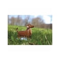 thumbnail image 2 of Kikkerland Solar Daschund, 2 of 6