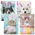 thumbnail image 4 of Current Picture This Dogs and Cats Easter Cards - Set of 8, 2 of Each Design, 5" x 7", Easter Pet Cards, 4 of 7