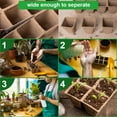 thumbnail image 5 of 240 Cells Seed Starter Tray, 20 Packs Peat Pots Seedling Pots Biodegradable,Seedling Starter Kit, MQINGHOS Organic Germination Plant Starter Trays,Cell Pots with 20 Labels,2 Transplant Tools, 5 of 7