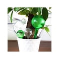 thumbnail image 2 of Topumt Mini Automatic Garden Plants Self-Watering Globe, 2 of 5