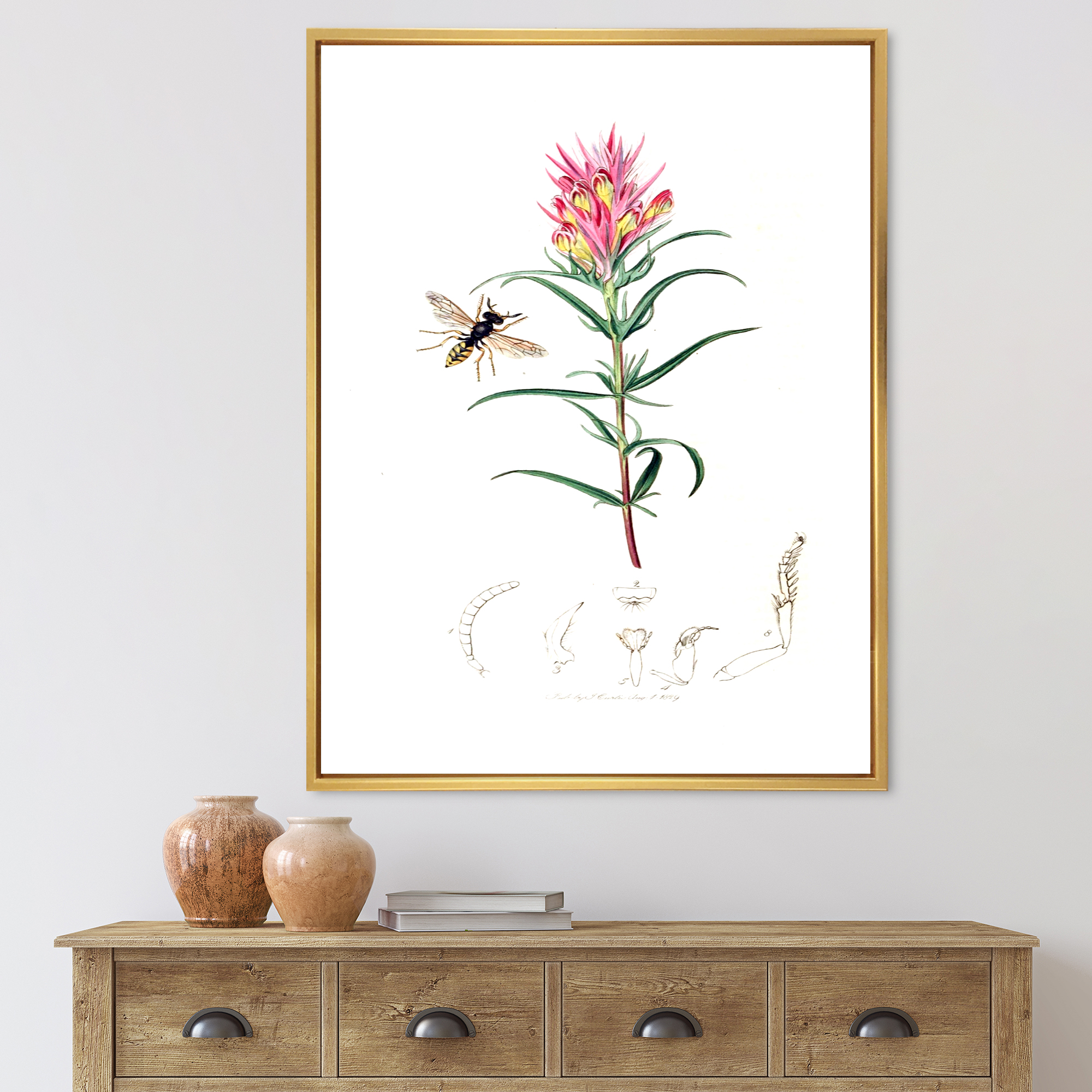 Designart 'Ancient Insects and Plants I' Farmhouse Framed Canvas Wall Art Print