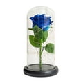 thumbnail image 1 of Glass Lampshade Romantic Artificial Eternal Rose Flower Lampshade LED Light with Glass Cover, 1 of 6