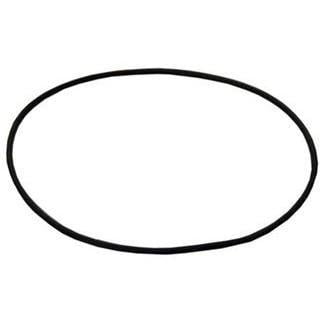 Zodiac O-Ring for 1 Piece Cap W13061