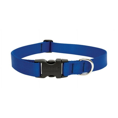 UPC: 0746889175537 | LupinePet Basic Solids Blue Blue Nylon Dog Adjustable Collar