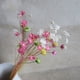 thumbnail image 4 of 100 mini margaritas decorativas secas, pequeñas flores de estrella naturales para fotografía, boda, decoración del hogar (amarillas), 4 of 5