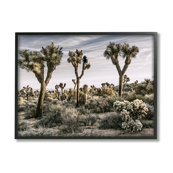 Stupell Industries Desert Cacti Vegetation Landscape Photography Black Framed Art Print Wall Art, 14 x 11