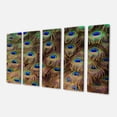 thumbnail image 2 of Plumes de Queue de Paon en Gros Plan - Impression sur Toile Animale, 2 of 3