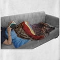 thumbnail image 5 of USA Soft Flannel Fleece Throw Blanket, Famous Sunrise at Mesa Arch in Canyonlands National Park, Utah, USA, Cozy Plush for Indoor and Outdoor Use, 60" x 80", Pale Brown Sky Blue, by Ambesonne, 5 of 5