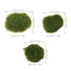 thumbnail image 2 of Luxshiny 6Ud Adornos De Piedra Artificial Verde Con Musgo Para Interior Y Exterior, 2 of 6