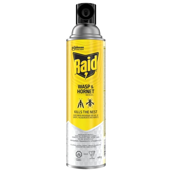 Insecticide Raid contre les guêpes et les frelons, pour utilisation à l’extérieur, 400 g