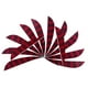 thumbnail image 3 of 12 Piezas Vanes 4 Pulgadas Plástico Fletching Soledad Tiro con arco Flecha Fletches Colores Para Elegir rojo, 3 of 7