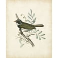 thumbnail image 2 of Unknown 20x24 Black Ornate Wood Framed with Double Matting Museum Art Print Titled - Delicate Birds VI, 2 of 4