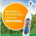 thumbnail image 5 of PAW Patrol Spinbrush Kids Battery-Powered Toothbrush, Soft Bristles, Ages 3+, Character May Vary, 5 of 13