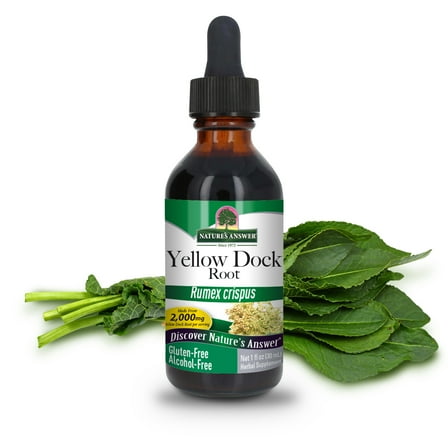Nature's Answer Yellow Dock 2000mg Oil, 1 Fl Oz