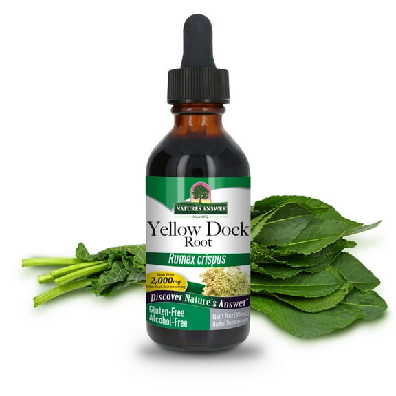 Nature's Answer Yellow Dock 2000mg Oil, 1 Fl Oz