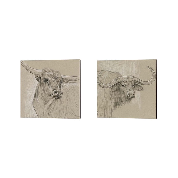 Great Art Now Longhorn Sketch by Melissa Wang 2 Piece Canvas Art Set Each 14"W x 14"H