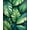 Green, Pattern 2, variant on Flatwoven High Traffic Area Rug, Vibrant Green Botanical Motif, Non Slip, Stain Resistant, Washable Area Rugs for Living Room, Bedroom(Green, 4X6)